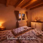 Wellness Kozicka