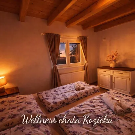 Wellness Kozicka